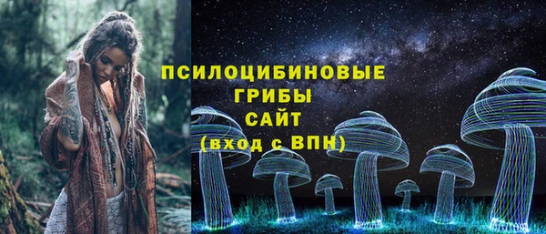 твердый Балахна