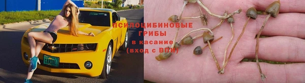 jwh Баксан